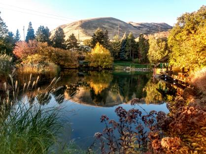 The pond at Red Butte Garden